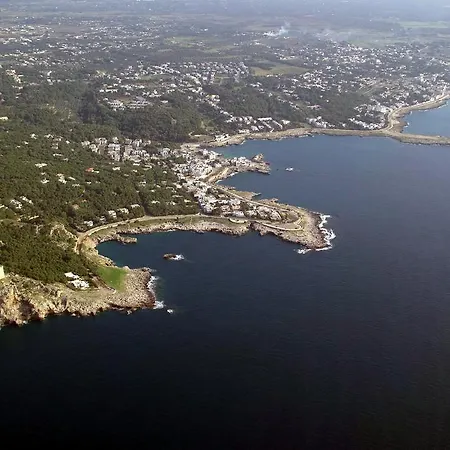 Casa Dei Glicini بيت ضيافة Nardò